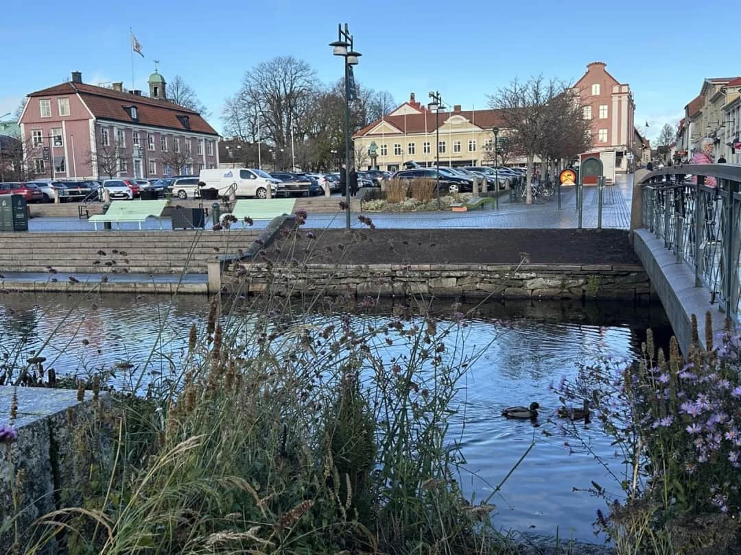 Czy Alingsås to prawdziwy raj dla miłośników szachów? Prawda